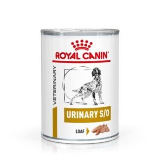 24x410g Royal Canin Veterinary Canine Urinary S/O Mousse nedves kutyatáp - Kisállat kiegészítők webáruház - állateledelek