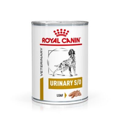 24x410g Royal Canin Veterinary Canine Urinary S/O Mousse nedves kutyatáp - Kisállat kiegészítők webáruház - állateledelek