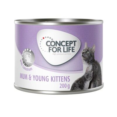 24x200g Concept for Life Mum & Young Kittens Mousse nedves konzerv macskatáp kiscicáknak - Kisállat kiegészítők webáruház - állateledelek