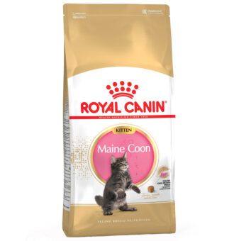 10 kg Royal Canin Maine Coon Kitten - Kisállat kiegészítők webáruház - állateledelek