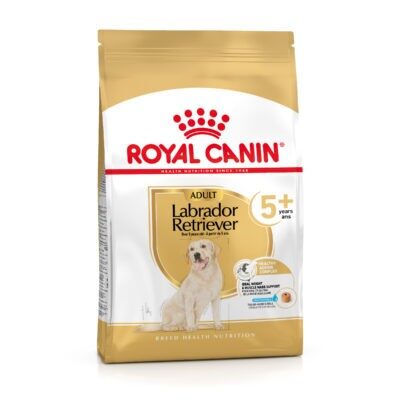 2x12kg Royal Canin Labrador Retriever Adult 5+ száraz kutyatáp - Kisállat kiegészítők webáruház - állateledelek