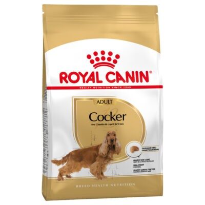 2x12kg Royal Canin Cocker Spaniel fajta syerinti száraz kutyatáp - Kisállat kiegészítők webáruház - állateledelek