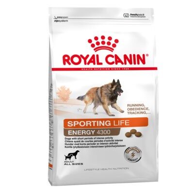 15kg Royal Canin Sporting Life Energy Trail 4300 száraz kutyatáp - Kisállat kiegészítők webáruház - állateledelek