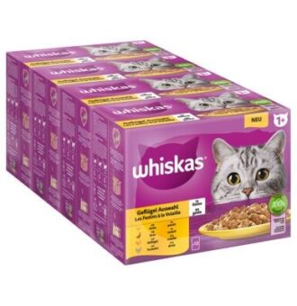 48x85g Whiskas 1+ frissentartó tasakban nedves macskatáp-szárnyasválogatás aszpikban - Kisállat kiegészítők webáruház - állateledelek