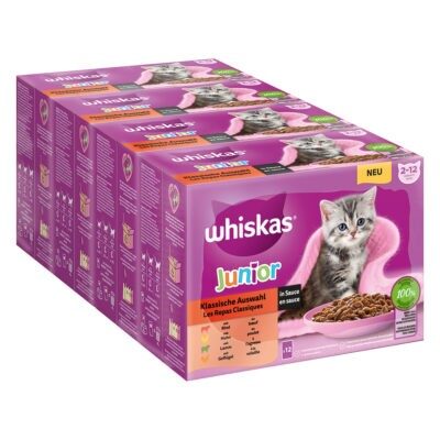 48x85g Whiskas Junior klasszikus válogatás szószban nedves macskatáp - Kisállat kiegészítők webáruház - állateledelek