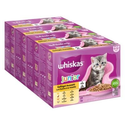 48x85g Whiskas Junior szárnyasválogatás aszpikban nedves macskatáp - Kisállat kiegészítők webáruház - állateledelek