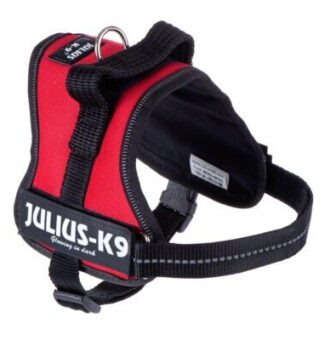 JULIUS-K9® powerhám (erőhám) - piros - Mini: 51 - 67 cm a mellkas kerülete - Kisállat kiegészítők webáruház - állateledelek