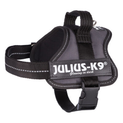 JULIUS-K9® powerhám kutyáknak antracit - Mini/M méret: 51–67 cm - Kisállat kiegészítők webáruház - állateledelek