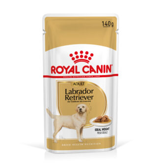 20x140g Royal Canin Breed Labrador Retriever Adult szószban nedves kutyatáp - Kisállat kiegészítők webáruház - állateledelek