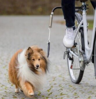 Trixie de Luxe biciklis szett kutyáknak 1db - Kisállat kiegészítők webáruház - állateledelek