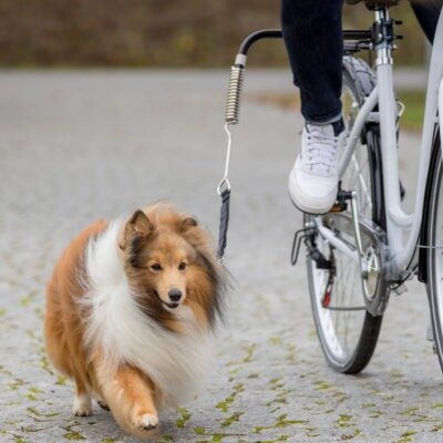 Trixie de Luxe biciklis szett kutyáknak 1db - Kisállat kiegészítők webáruház - állateledelek