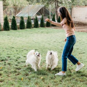 Hogyan tanítsam a kutyámat? Kutyanevelés: Minden, amit tudnod kell a boldog és kiegyensúlyozott kutyatartáshoz