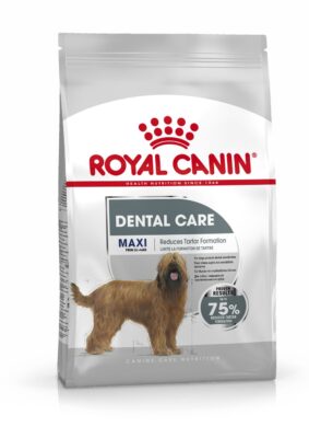 2x9kg Royal Canin Maxi Dental Care száraz kutyatáp - Kisállat kiegészítők webáruház - állateledelek