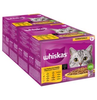 48x85g Whiskas 1+  szárnyasválogatás szószban nedves macskatáp - Kisállat kiegészítők webáruház - állateledelek