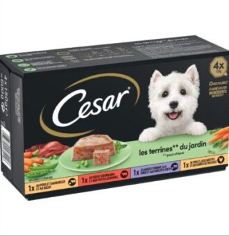 48x150g Cesar kerti terrine nedves kutyatáp vegyesen - Kisállat kiegészítők webáruház - állateledelek