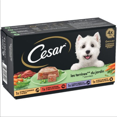 48x150g Cesar kerti terrine nedves kutyatáp vegyesen - Kisállat kiegészítők webáruház - állateledelek