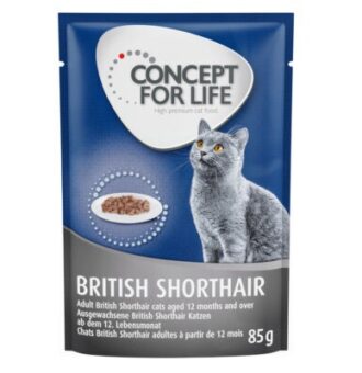 24x85g Concept for Life British Shorthair Adult (ragu-minőség) nedves macskatáp - Kisállat kiegészítők webáruház - állateledelek