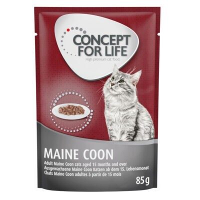 24x85g Concept for Life Maine Coon Adult (ragu-minőség) nedves macskatáp - Kisállat kiegészítők webáruház - állateledelek