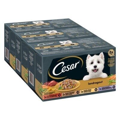 48x150g Cesar Country Kitchen Favourites mix  (4 változattal) nedves kutyatáp 40+8 ingyen akcióban - Kisállat kiegészítők webáruház - állateledelek