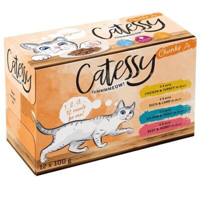 48x100g Catessy falatok aszpikban gabonamentes nedves macskatáp 4 ízzel - Kisállat kiegészítők webáruház - állateledelek