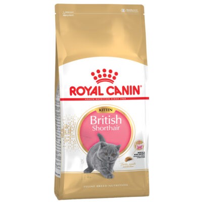 2x10kg Royal Canin British Shorthair Kitten száraz macskatáp - Kisállat kiegészítők webáruház - állateledelek