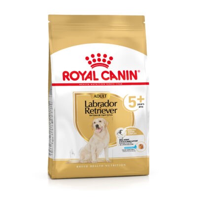 2x12kg Royal Canin Labrador Retriever Adult 5+ száraz kutyatáp - Kisállat kiegészítők webáruház - állateledelek