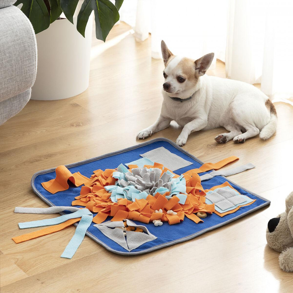 Pets kisállat illatszőnyeg Fooland InnovaGoods