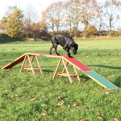 Trixie Dog Activity Agility palló kutyáknak - H 456 x Sz 30 x M 64 cm - Kisállat kiegészítők webáruház - állateledelek