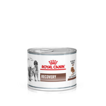 24x195g Royal Canin Veterinary Canine Recovery Ultra Soft Mousse nedves kutyatáp - Kisállat kiegészítők webáruház - állateledelek