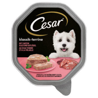 28x150g Cesar Klasszikusok: Terrine borjú & szárnyas nedves kutyatáp - Kisállat kiegészítők webáruház - állateledelek