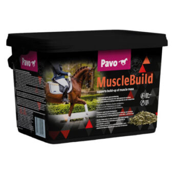 3 kg Pavo MuscleBuild takarmánykiegészítő lovaknak - Kisállat kiegészítők webáruház - állateledelek