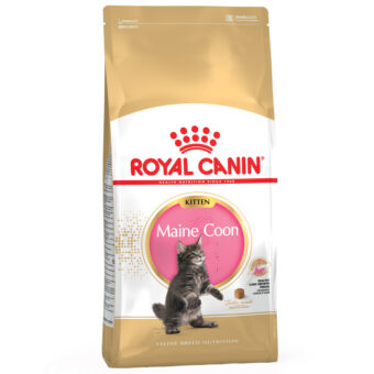 2x10kg Royal Canin Maine Coon Kitten száraz macskatáp - Kisállat kiegészítők webáruház - állateledelek