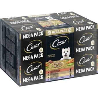 48x150g Ceasar tálcás megapack - Vidéki ragu nedves kutyatáp 42+6 ingyen - Kisállat kiegészítők webáruház - állateledelek