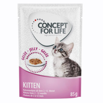 48x85g Concept for Life Kitten aszpikban nedves macskatáp - Kisállat kiegészítők webáruház - állateledelek