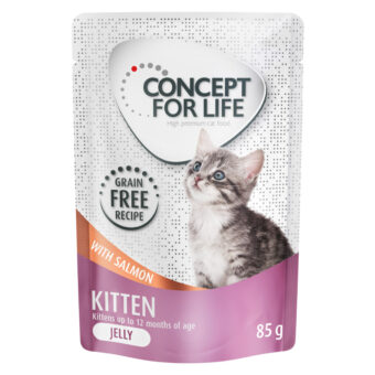 48x85g Concept for Life Kitten lazac gabonamentes nedves macskatáp aszpikban - Kisállat kiegészítők webáruház - állateledelek