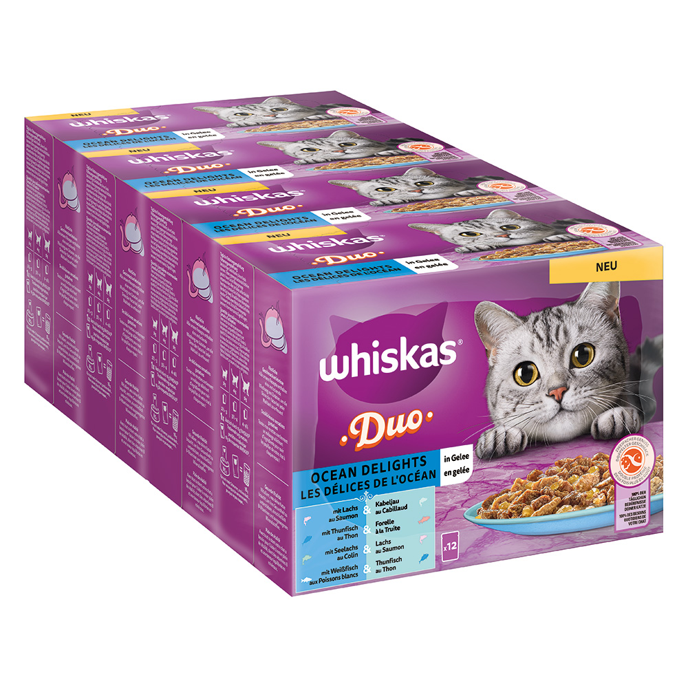 96x85g Whiskas Adult Duo Ocean Delights aszpikban nedves macskatáp - Kisállat kiegészítők webáruház - állateledelek