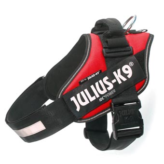 JULIUS-K9 IDC® powerhám kutyáknak