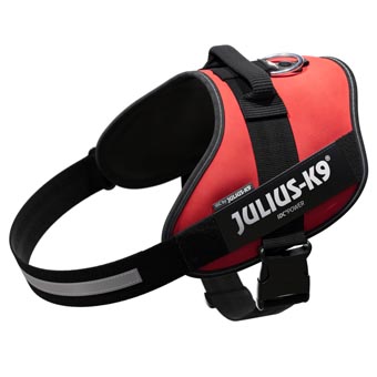 JULIUS-K9 IDC® powerhám kutyáknak