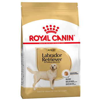 2x12kg Royal Canin Labrador Retriever Adult fajta szerinti száraz kutyatáp - Kisállat kiegészítők webáruház - állateledelek