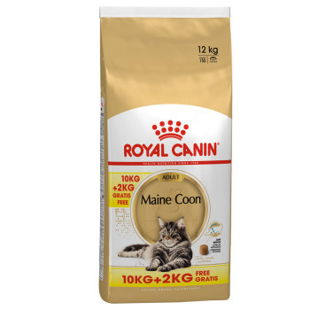 12kg Royal Canin Feline Maine Coon Adult száraz macskatáp 10+2kg ingyen - Kisállat kiegészítők webáruház - állateledelek