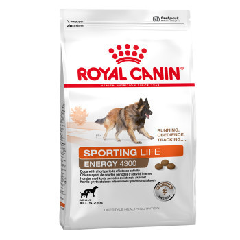 2x15kg Royal Canin Sporting Life Energy Trail 4300 száraz kutyatáp - Kisállat kiegészítők webáruház - állateledelek