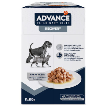 22x100g Advance Veterinary Diets Recovery nedveseledel kutyáknak