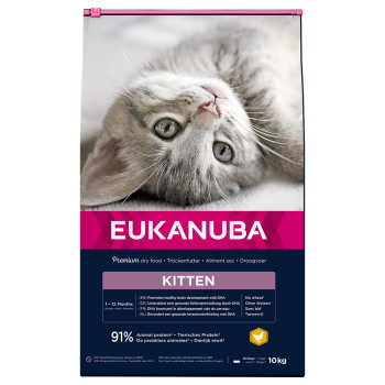 10kg Eukanuba Healthy Start Kitten száraz macskatáp - Kisállat kiegészítők webáruház - állateledelek