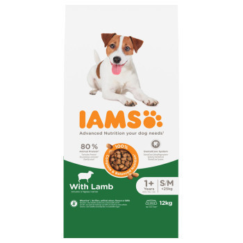 2x12kg IAMS Advanced Nutrition Adult Small & Medium Dog bárány száraz kutyatáp - Kisállat kiegészítők webáruház - állateledelek