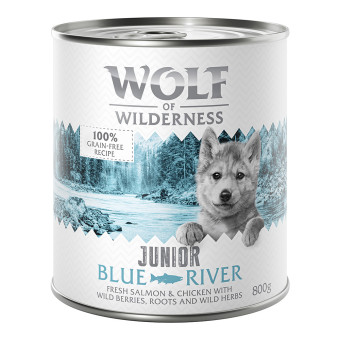 24x800g Wolf of Wilderness Junior - Duo-Protein recept gazdaságos csomag nedves kutyatáp - Blue River Junior - csirke & lazac - Kisállat kiegészítők webáruház - állateledelek