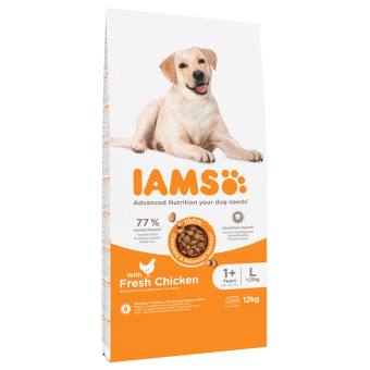 2x12kg IAMS Advanced Nutrition Adult Large Dog csirke száraz kutyatáp - Kisállat kiegészítők webáruház - állateledelek