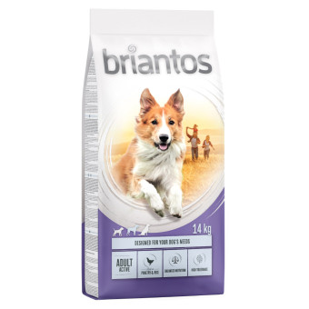 Briantos száraztáp gazdaságos csomagban - Adult Active  (2 x 14 kg) - Kisállat kiegészítők webáruház - állateledelek