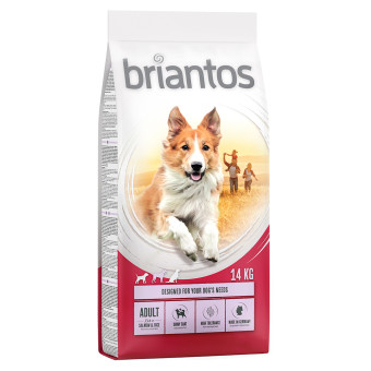 2x14kg Briantos Adult lazac & rizs száraz kutyatáp - Kisállat kiegészítők webáruház - állateledelek