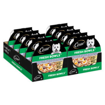 40x85g Cesar Fresh Bowls kacsa szószban nedves kutyatáp - Kisállat kiegészítők webáruház - állateledelek