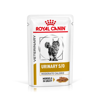 48x85g Royal Canin Veterinary Urinary S/O Moderate Calorie nedves macskatáp - Kisállat kiegészítők webáruház - állateledelek